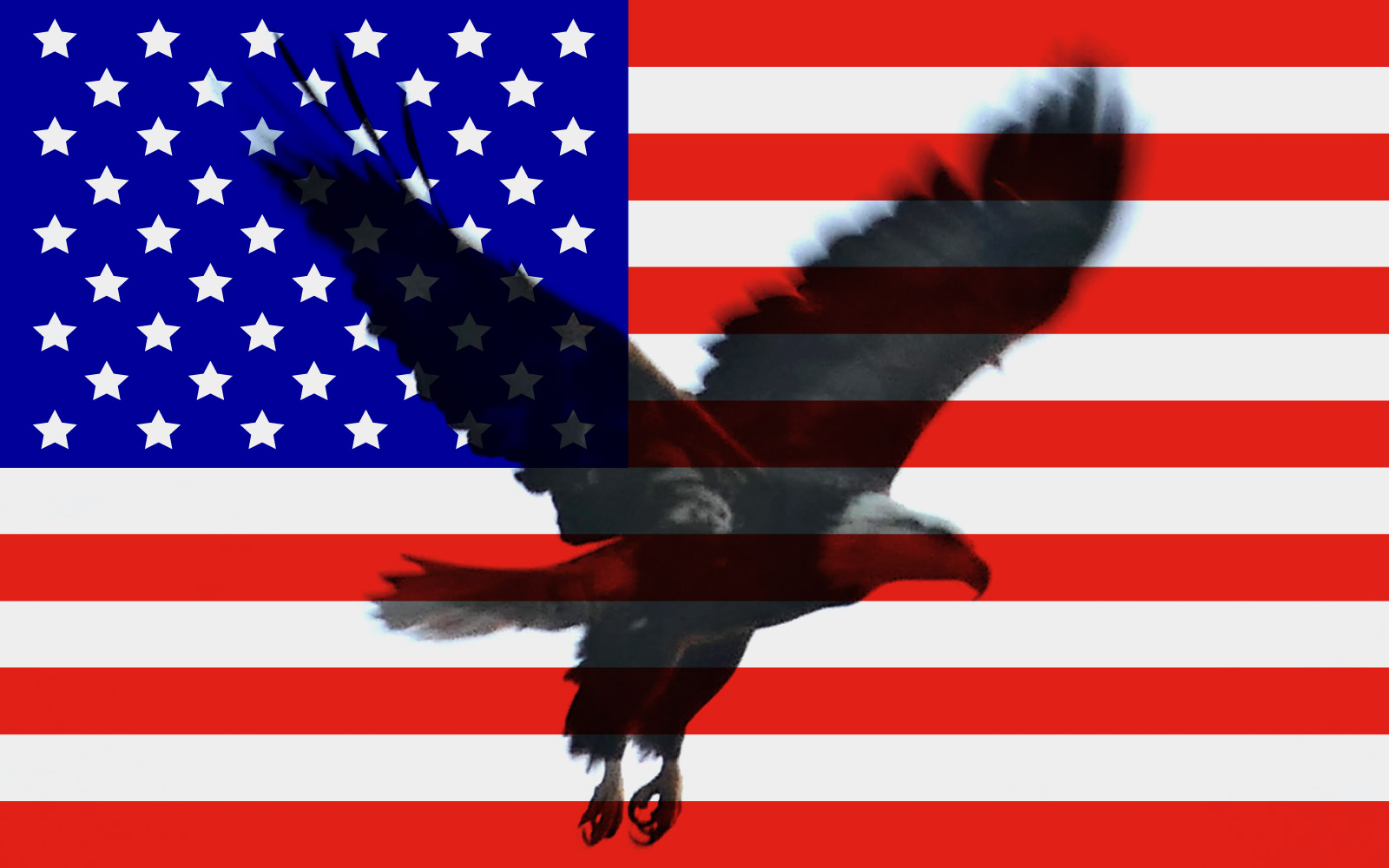 American Flag Dotted